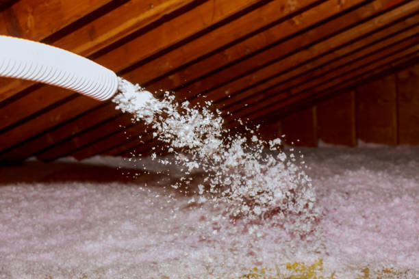 Best Residential Insulation in Las Quintas Fronterizas, TX