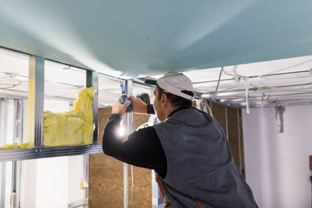 Best Fiberglass Insulation in Las Quintas Fronterizas, TX
