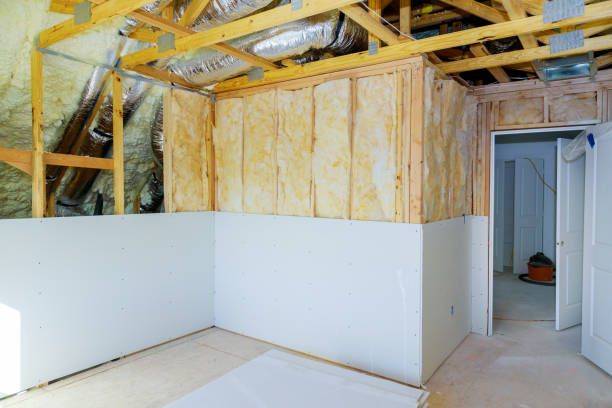 Best Spray Foam Insulation in Las Quintas Fronterizas, TX