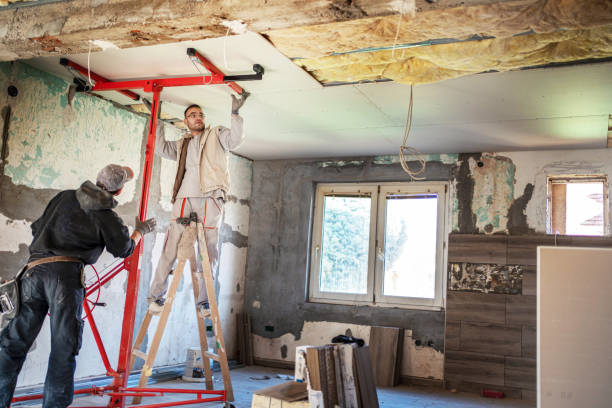 Trusted Las Quintas Fronterizas, TX Insulation Contractor Experts