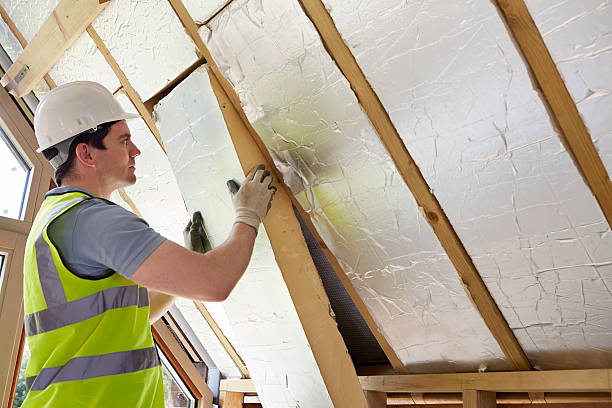 Best Cellulose Insulation in Las Quintas Fronterizas, TX